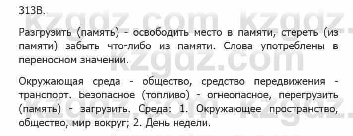 Русский язык Сабитова 5 класс 2017 Упражнение 313В