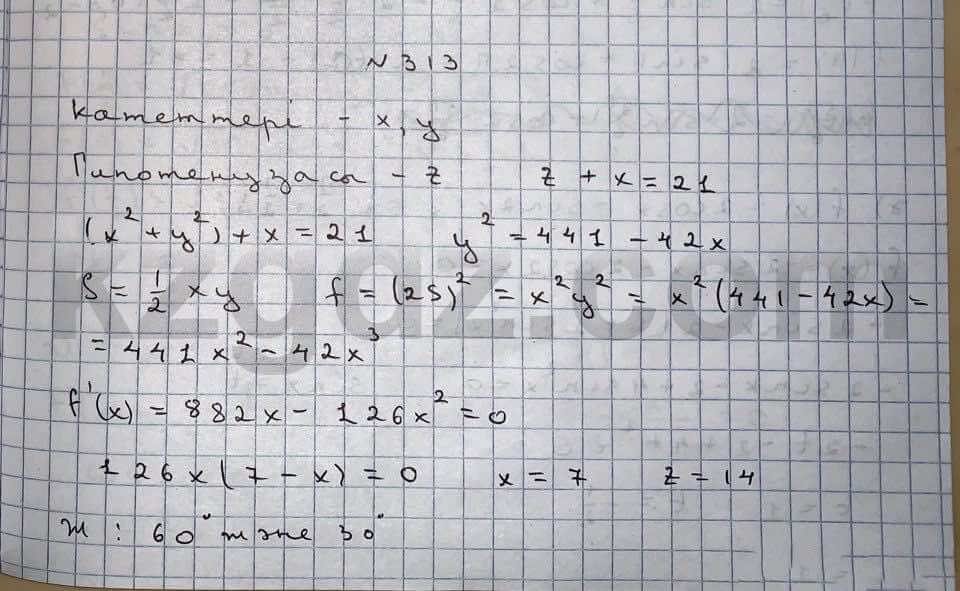 Алгебра Абылкасымова 10 класс Естественно-математическое направление  Упражнение 313