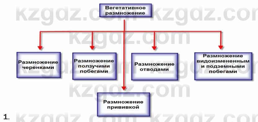 Биология Соловьева 7 класс 2017  Анализ 53.1