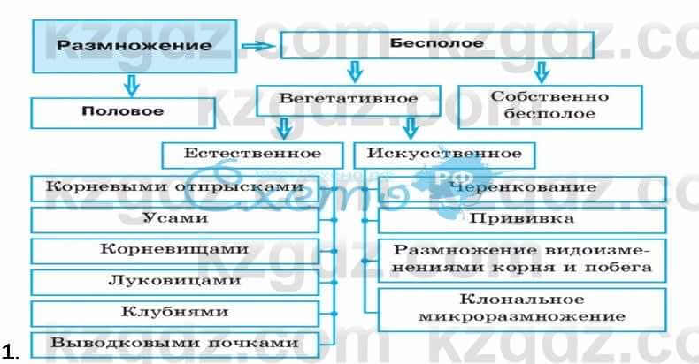 Биология Соловьева 7 класс 2017  Анализ 52.1