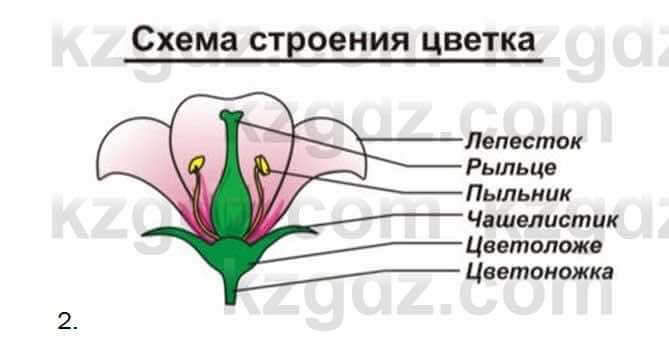 Биология Соловьева 7 класс 2017  Практическая работа 58.2