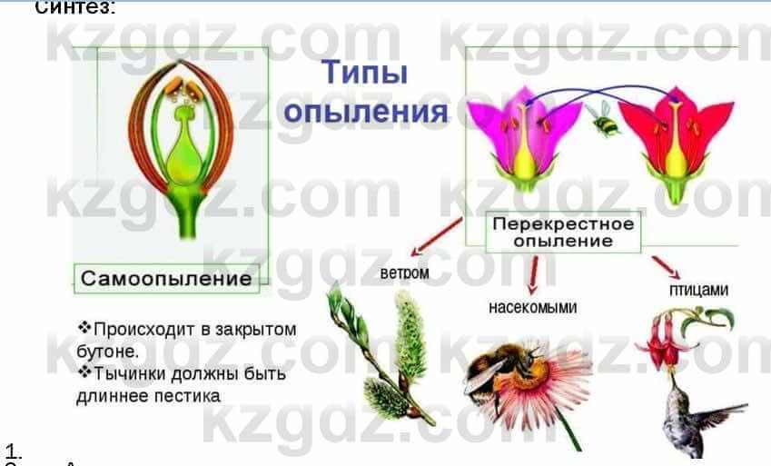 Биология Соловьева 7 класс 2017  Синтез 54.1