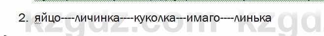 Биология Соловьева 7 класс 2017  Синтез 57.2